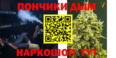 дживик Бийск